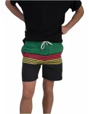 [Victoria Bitter] Daytrippin Stripe Short in Multi