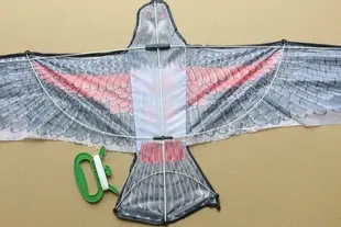 大老鷹風箏 老鷹造型風箏 1.2米(大/立體布面.碳纖維架120cm x 54cm)/一袋50隻入(定100)立體老鷹風箏~4593