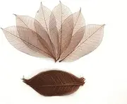 WADSUWAN SHOP 100 Brown Color Skeleton Leaves Rubber Tree Natural Scrapbooking Craft DIY Card Wedding, Mulberry Paper Leaves, by