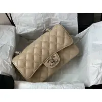 在飛比找蝦皮購物優惠-經典 chnel 袋尺寸 20cm 超漂亮的鋁皮