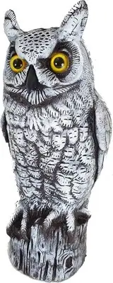 Dalen Fake Owl Decoy to Scare Birds Away from Gardens, Rooftops, and White
