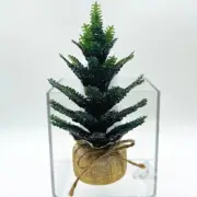 BATH & BODY WORKS PINE TREE WALLFLOWER FRAGRANCE PLUG