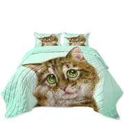 Cats Cute Drawings the Charming Tabby Kitten Coverlet