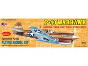 Guillow's Warhawk Balsa Plane Model Kit