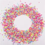 Colorful Mix Crafting Slices Sprinkles - Acrylic Polymer Clay Tiny Charms 10gram