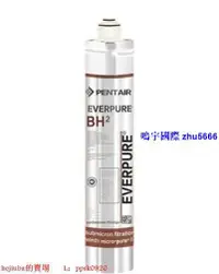 在飛比找露天拍賣優惠-現貨EVERPURE愛惠浦BH2主濾芯淨水器過濾美國EV96