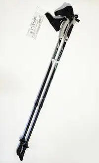 在飛比找樂天市場購物網優惠-ISUN 宜山 台灣製造 超輕量航太鋁合金 兩節伸縮健走杖 