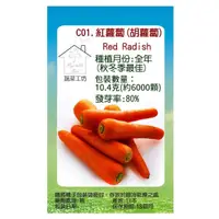 在飛比找momo購物網優惠-【蔬菜工坊】C01.紅蘿蔔種子(胡蘿蔔)