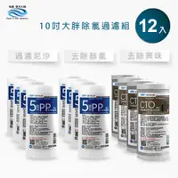 在飛比找PChome24h購物優惠-怡康 10吋大胖標準5微米PP濾心(8入)+10吋大胖標準C