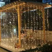 6*3M 600 LED Waterfall Curtain Lights 2 Colors In One Light Wedding Party Xmas