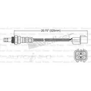 PAT Oxygen Sensor - EGO-298
