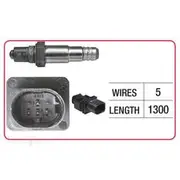 RAE Oxygen Sensor - OX812
