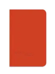 Elan Publishing Company E64-64M Mini Level Book 4 ⅛ x 6 ½, Bright Ora