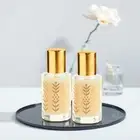 TSZ Scent Tahara Musk Coconut Vanilla Perfume Oil, 12ml (Pack of 2) free shippi
