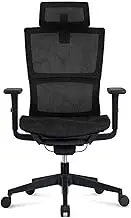 Game Chair Mesh Computer Chair Racing Game Chair with Waist Support Rotating Computer Chair Home Boss Chair Gaming Chair Interesting