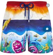 Vilebrequin Swim Trunks Men 2XL Ken Scharf Mareviva Board Shorts Moorea NWT $315
