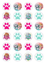 24 Paw Patrol Skye Everest Girls 4cm round cupcake cake edible images toppers