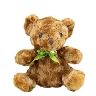 【台灣現貨】小熊毛絨玩具 抱抱熊 公仔 泰迪熊玩偶 生日禮物 抓機娃娃