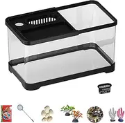 Beginner Fish Tank,Fish Tank Starter Kit with Filter and Light | Underwater Landscape Decoration, Compact Glass Aquarium Set for Den Living Room Dorm Kids Room