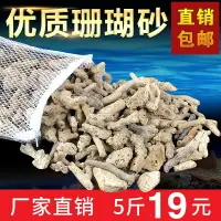 在飛比找樂天市場購物網優惠-珊瑚石珊瑚砂菲律賓沙魚缸過濾材料造景天然石海水缸珊瑚骨底沙