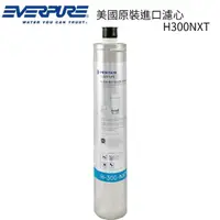 在飛比找momo購物網優惠-【EVERPURE】美國原裝進口濾心(H300NXT 平輸品