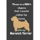 There is a 100% chance that I would rather be home with my Norwich Terrier: For Norwich Terrier Dog Fans