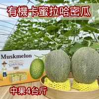 在飛比找台灣好農優惠-【友田珍鄉】有機精品級卡蜜拉哈密瓜中果雙入禮盒(4台斤/盒)