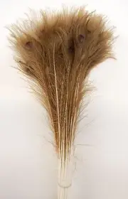 100 Pcs PEACOCK TAILS Natural Dark Bleached Feathers 25"-30" Crafts/Bridal/Hats