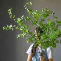 在飛比找樂天市場購物網優惠-仿真日本吊鐘木大型植物綠葉室內陽台落地裝飾擺設 全館免運