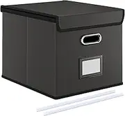 Umtiti A4-Size Black Leather File Organizer Box with Lid（Folders not included.File Folder Storage, Easy Slide Durable Hanging File Box for Office/Decor/Home,PGLG-BK,UK