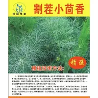 在飛比找蝦皮購物優惠-【原廠包裝】【茴香種子】甜茴香種子 進口種子 甘茴香 肉質甘