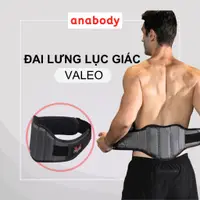 在飛比找蝦皮購物優惠-用於健身房的高品質 VALEO 六角大腰帶 - 背部保護訓練