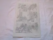 IDW Transformers Shattered Glass Goldbug Issue 4 Page 17 Dan Khanna Comic Art