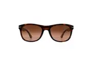 Serengeti Sunglasses Anteo 8671 Shiny Dark Tortoise Drivers Gradient Polarized Photochromic