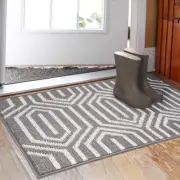 Indoor Doormat 80Cm X 120Cm, Absorbent Front Back Door Mat Floor Mats (Grey, 80