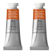 2x Winsor & Newton 14ml Professional Watercolour Art Paint Burnt Sienna S1