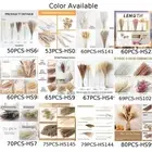 Practical Pampas Grass Dried Flower Home Decoration Flower Arrangements