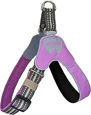 Coralpina - Faloria Adjustable Chest Harness for Dogs with Different Neck and Chest Diameters, Soft and Durable, Does Not Damage Hair or Hinder Movement, Color