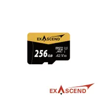 在飛比找PChome24h購物優惠-Exascend CATALYST microSD V30 