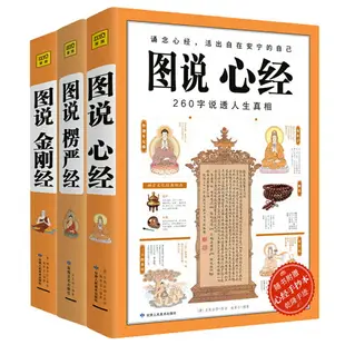 【最低價】【公司貨】正版 圖說金剛經+心經+楞嚴經 全套共3冊 經典圖解版文白對照 佛經佛學書籍入門佛教十三經原文解釋經書禪修國學經典智慧圖書 紫圖