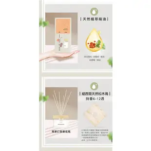 去味大師 竹木香 80ml 竹木香補充瓶 90ml 茉莉白茶/麝香綠茶/玫瑰烏龍 香氛 室內擴香 純精油香氛 消臭擴香