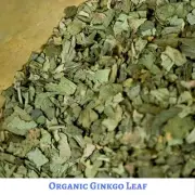 DRIED Organic 100 Gram GINKGO LEAF - Quality STOCK - Ginkgo biloba - Free Post