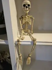 Halloween Decoration 19 Inch Posable Skeleton Full Body - New in Bag