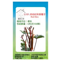 在飛比找PChome24h購物優惠-G101.赤焰紅秋葵種子6克(約100顆)
