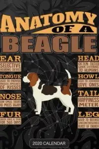 在飛比找博客來優惠-Anatomy Of A Beagle: Beagle 20