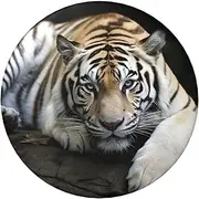 [VTCTOASY] Button Pins Badge 2.4 inch Cute Round Badge Pins Buttons Badges Personalized Name Tag Tiger Lie On Rock Badge Pinback Button Badges Fashion Pins Set for Men Women Backpack Office