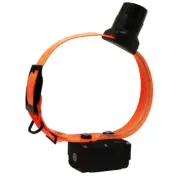 DT Systems Baritone Beeper Collar Double Beep BTB-800-DBL