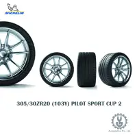 在飛比找蝦皮商城優惠-Michelin 米其林輪胎 305/30ZR20 (103