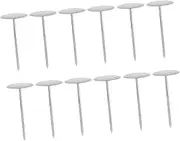 12Pcs Stainless Steel Cake Flower Nails for Baking Pastry Decorating Tools for Cupcakes Muffins Fondants and More