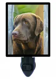 Labrador Retriever Decorative Photo Night Light, Chocolate Lab